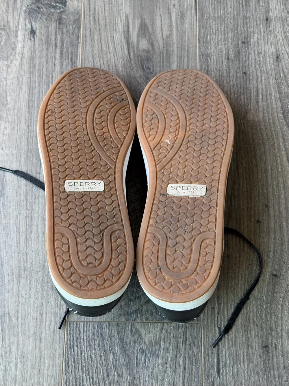 Modern Sperry Topsider Charter Lace Up Memory Foam Sneaker-9.